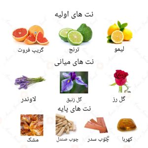 ادکلن مردانه مچری روونا