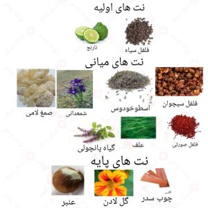  ادکلن مردانه ساواج روونا