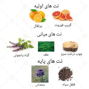  ادکلن مردانه تری دِ هوم روونا