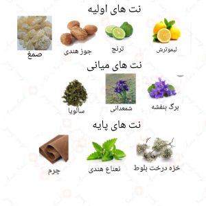 ادکلن مردانه تروسینگ اومو روونا
