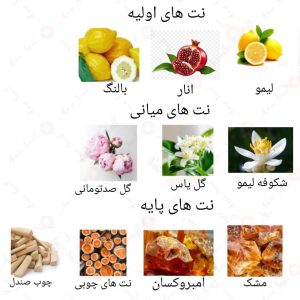 ادکلن زنانه وراستایل آروز روونا