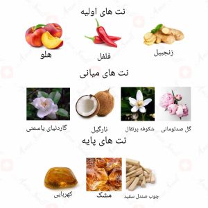 ادکلن زنانه وراستایل نویر روونا 