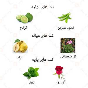  ادکلن زنانه مای روونا روونا