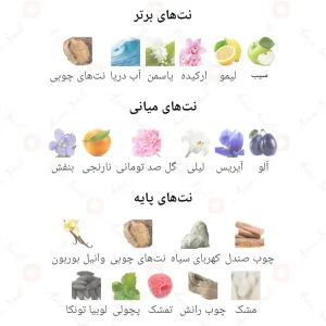 ادکلن زنانه نیکول کیدمن نایت آرمانیا 