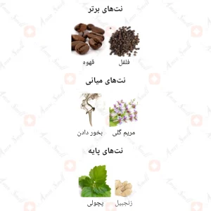 ادکلن مردانه آکورد بویس اجمل