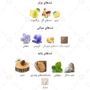 ادکلن مردانه اکسپدیشن اجمل