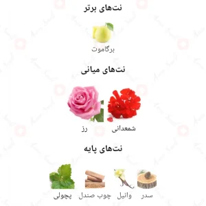 ادکلن زنانه ایلوشن اجمل
