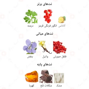 ادکلن زنانه دیسترکشن اجمل