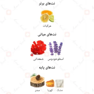 ادکلن زنانه سولیس اجمل