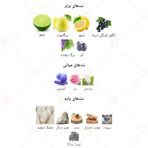 ادکلن یونیسکس سیلور شید اجمل