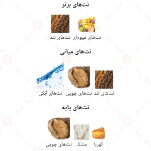 ادکلن مردانه شیرو اجمل