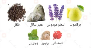 ادکلن مردانه کورو اجمل