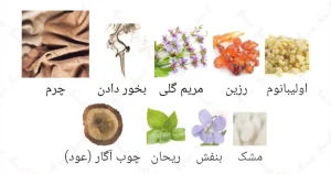 ادکلن مردانه برگاموت ادیکیتو گوستاو