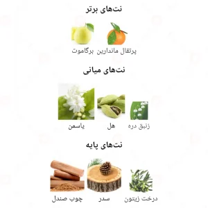 ادکلن زنانه انیگما فور هر اجمل