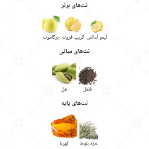 ادکلن مردانه انیگما فور هیم اجمل
