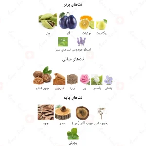  ادکلن یونیسکس وایت استون استون مارتین 
