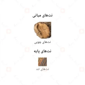 ادکلن یونیسکس الگانس اکسکلوسیو کالکشن کرانفورد
