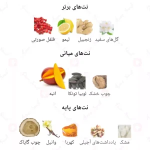  ادکلن یونیسکس اودیسی گو منگو آرماف