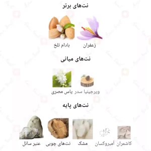 ادکلن یونیسکس اسنس پچولی جانی واکر