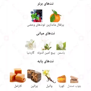 ادکلن یونیسکس رزالین جانی واکر