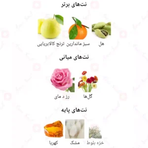  ادکلن مردانه مارکو بلک جانی واکر 