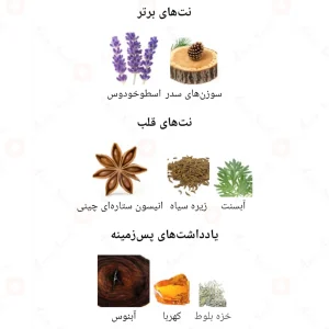  ادکلن مردانه پور لویی دنیل جکسون
