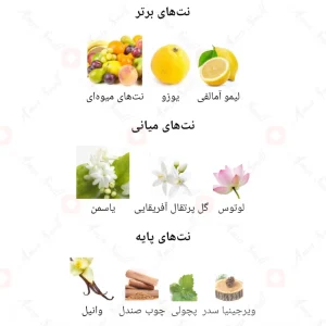 ادکلن زنانه رمانتیک لایف آوانگارد