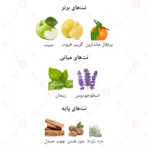 ادکلن مردانه شالیز رمی مارکویس