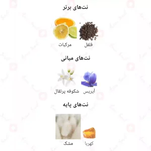  ادکلن مردانه شکسپیر سواروفسکی 