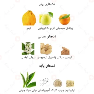  ادکلن مردانه فانتالیزه آوانگارد