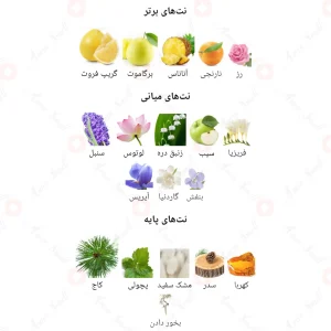 ادکلن زنانه نیکول کیدمن آرمانیا