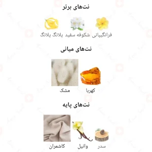  ادکلن زنانه وراتو امبر میرادا 