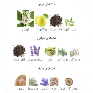 ادکلن مردانه کارول 08 کاوردونی