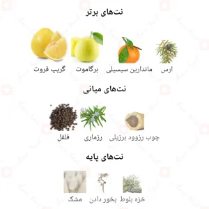  ادکلن مردانه لایت بلو دی ان جی مونوگرام کرانفورد 