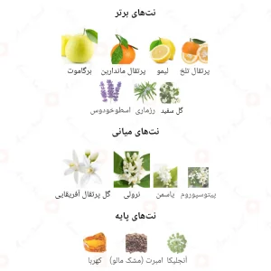  ادکلن یونیسکس کالیفرنیا فرش کرانفورد 