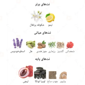ادکلن مردانه بلک استون استون مارتین