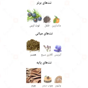 ادکلن مردانه تام هنکس اینتنس آرمانیا