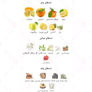 ادکلن مردانه پرایو ابسولو جانی واکر