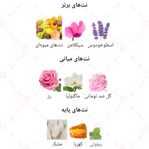 ادکلن زنانه شالیز رمی مارکویس