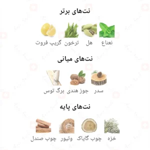  ادکلن زنانه مارکو کریک جانی واکر 