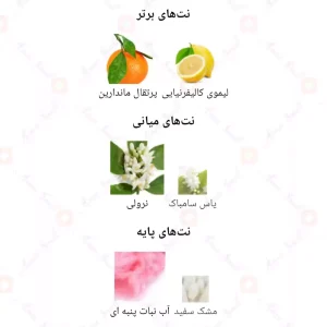 ادکلن یونیسکس کلین کنستانتین جانی واکر