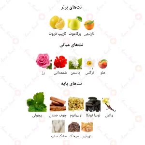 ادکلن زنانه انلی یو 834 کوکو شنل نویر 30 میل