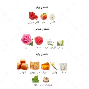  ادکلن زنانه انلی یو 829 نینا ریچی 30 میل