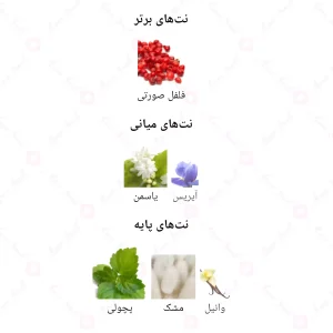  ادکلن زنانه انلی یو 813 چنل چنس 30 میل