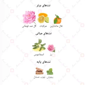  ادکلن زنانه انلی یو 826 گوچی بای گوچی 30 میل