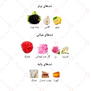 ادکلن زنانه انلی یو 843 دلچه گابانا 30 میل