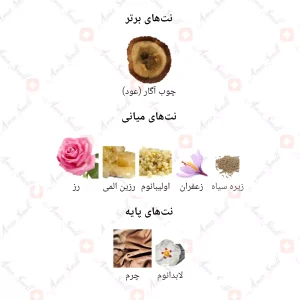 ادکلن مردانه انلی یو 873 فراری 30 میل