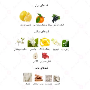  ادکلن زنانه انلی یو 837 شنل گابريل 30 میل