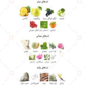 ادکلن یونیسکس خلود له فالکون