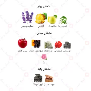 ادکلن مردانه انلی یو 889 مونت بلک 30 میل